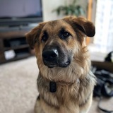 Entry image for Milly