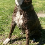 Entry image for Danny