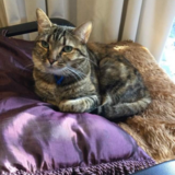 Entry image for Katie