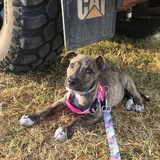 Entry image for Remi