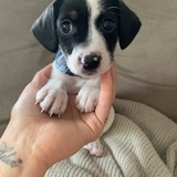 Entry image for Candy