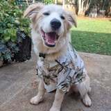 Entry image for Mr Willby