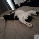 Entry image for Sampson Heard