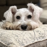 Entry image for Dudley 