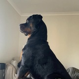 Entry image for Axle 