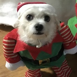 Entry image for Penny 