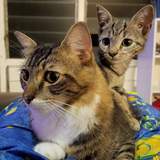 Entry image for Brock & Bean