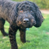 Entry image for Eddie