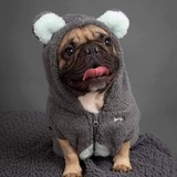 Entry image for Toulouse