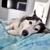 Entry image for Baymax