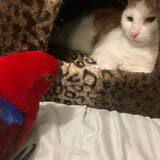 Entry image for Elliot & Logan