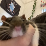 Entry image for Mercury