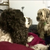 Entry image for Cash (ESS) 