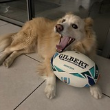 Entry image for Billecart