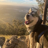 Entry image for Musashi 