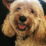 Entry image for Nelson