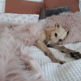 Entry image for Dawn