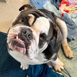 Entry image for Floyd