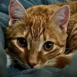 Entry image for Arthur