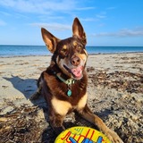 Entry image for Linkin