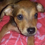 Entry image for Harry