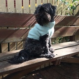 Entry image for Alfie