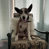 Entry image for Karma 