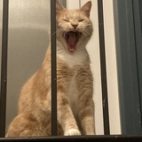 Entry image for Jack