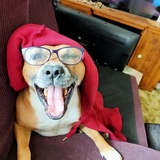 Entry image for Buddy