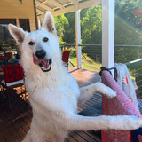 Entry image for Hunter