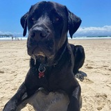 Entry image for Duke