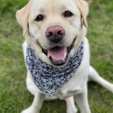 Entry image for Walter 