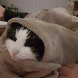 Entry image for Leah