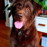 Entry image for Lulu