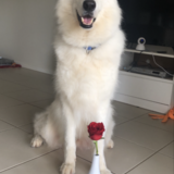 Entry image for Henry