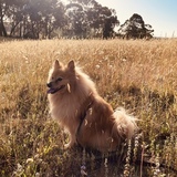 Entry image for George