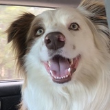 Entry image for Ralph