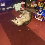 Entry image for Mya aboud