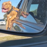 Entry image for Remy (aka baby girl)