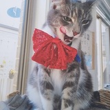 Entry image for Chika