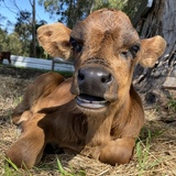 Entry image for Jimmy