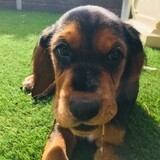 Entry image for Molly