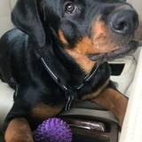 Entry image for Charlotte 