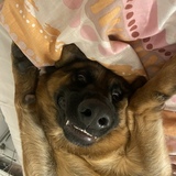 Entry image for Emmet