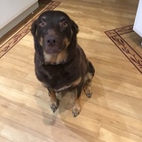 Entry image for Ruby red 