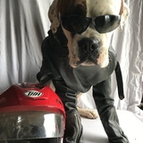 Entry image for Tonka 