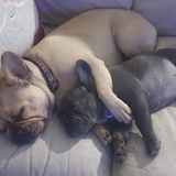 Entry image for Hazel & Saskia