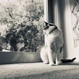 Entry image for Melvin "Vinnie"