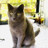 Entry image for Larry