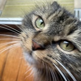 Entry image for Boots